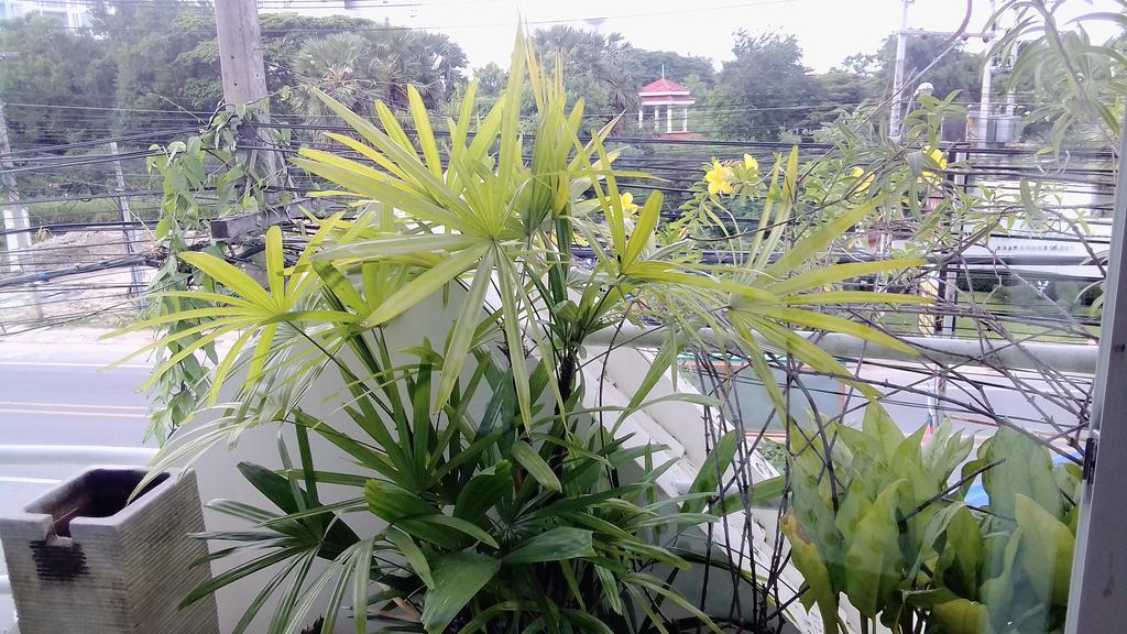 Corner Cafe Bed & Breakfast Hua Hin Exterior foto