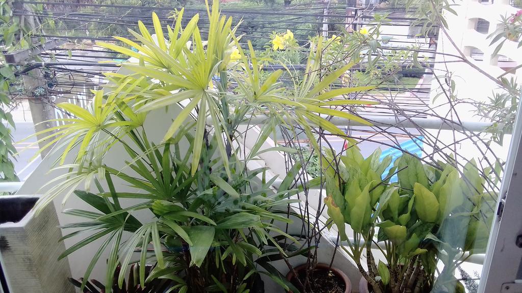 Corner Cafe Bed & Breakfast Hua Hin Exterior foto